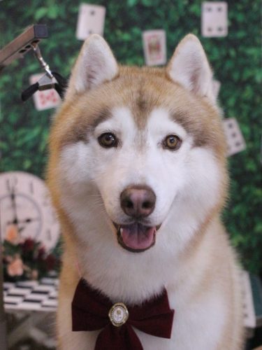 20250424レオくん